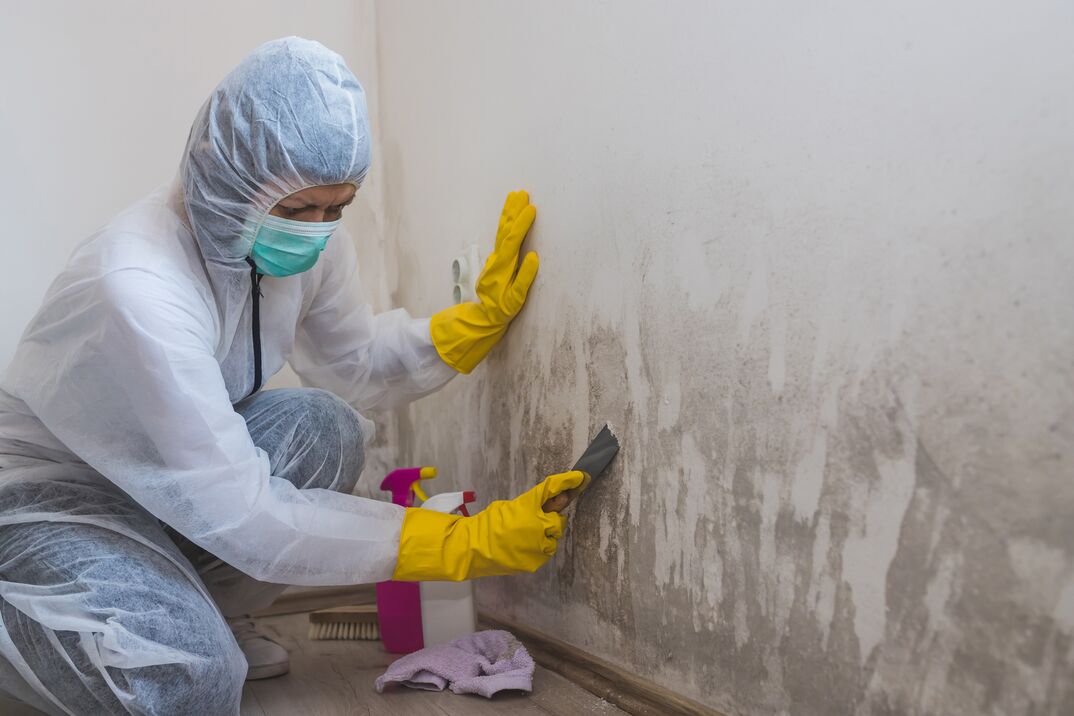 Mold Removal in Lombard, IL by 1st Choice Solutions